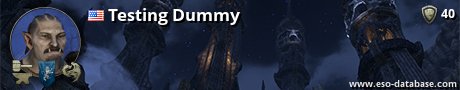 Signatur von Testing Dummy
