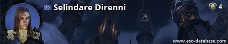 Signatur von Selindare Direnni